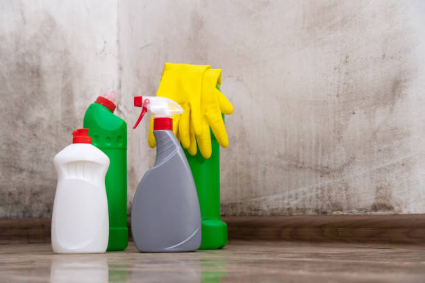 Why You Should Choose Our Mold Remediation Services in Mccleary, WA